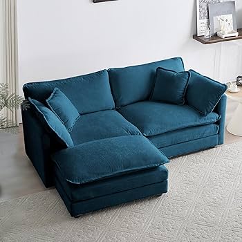 81Qp+a0rCmL._AC_UF350,